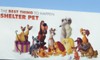 Disney Promotes The Shelter Pet Project - Again!